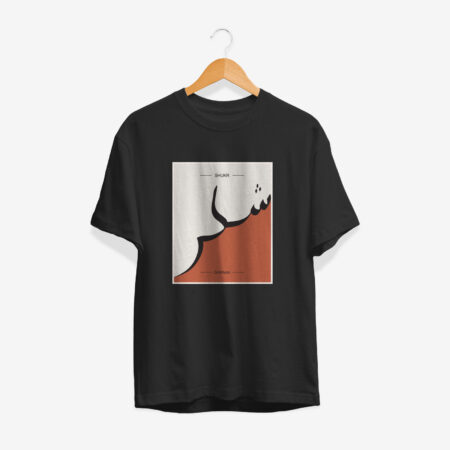 Haider Men's Premium T-shirt